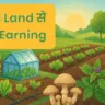 Small Land से ज्यादा Earning