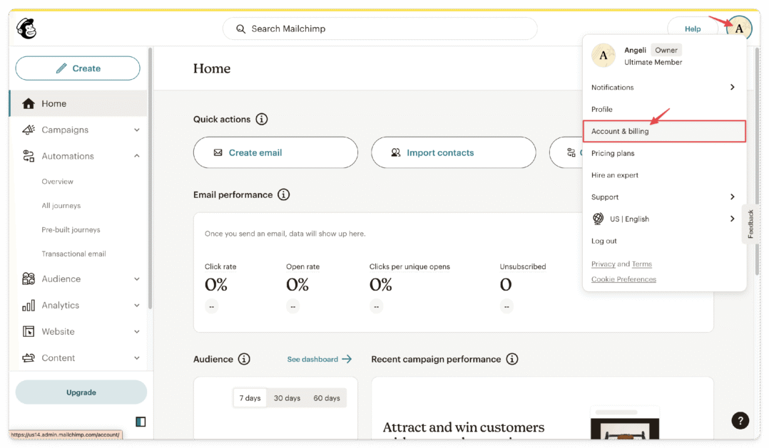 mailchimp dashboard 