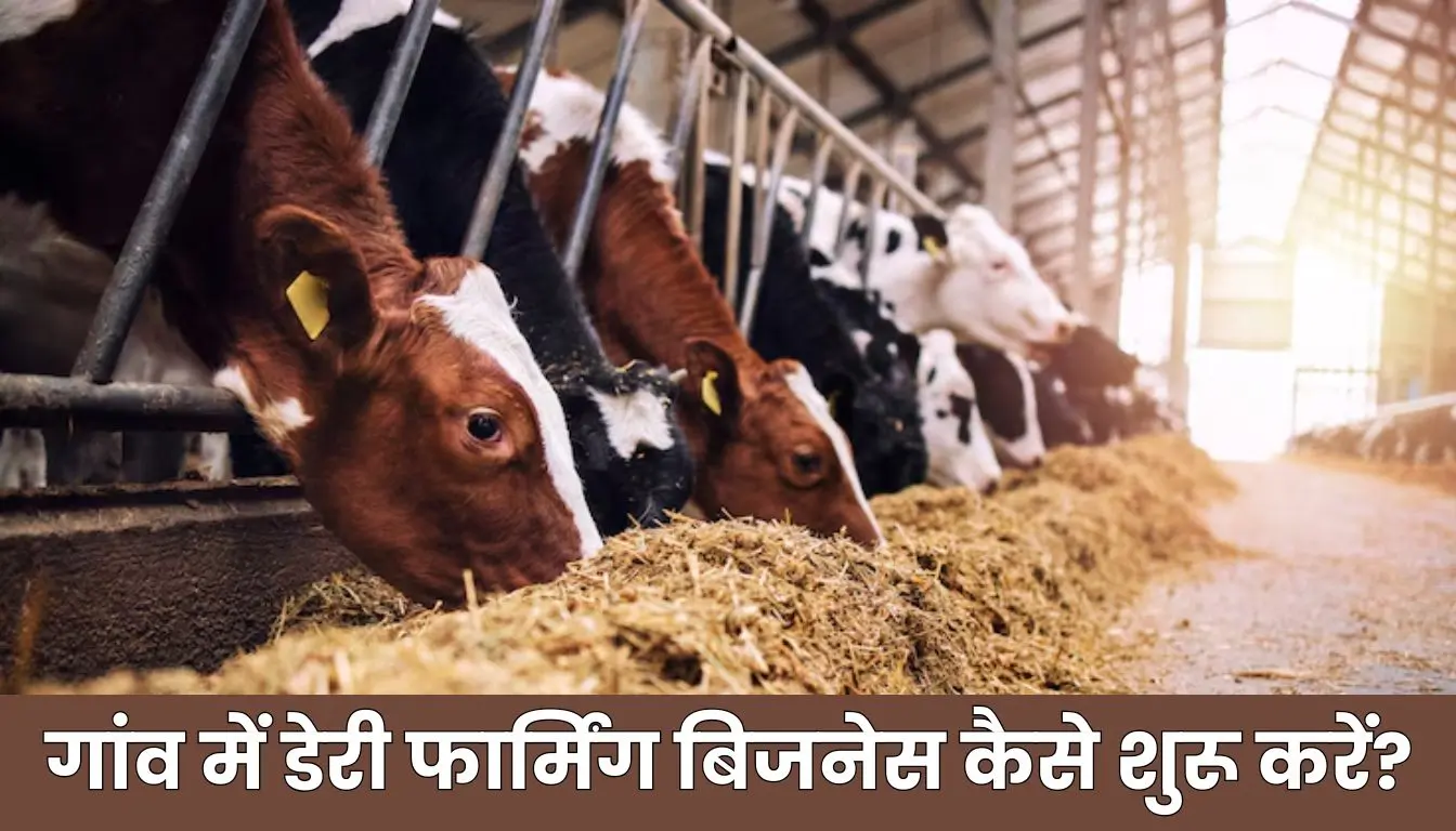 गांव में डेरी फार्मिंग बिजनेस कैसे शुरू करें